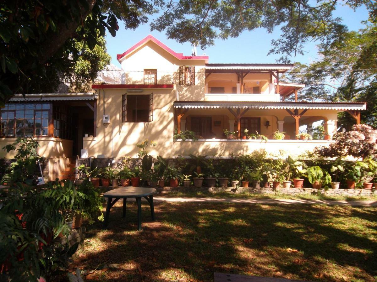 Le Tropical Chez Jeannette Panzió Saint Gabriel Kültér fotó